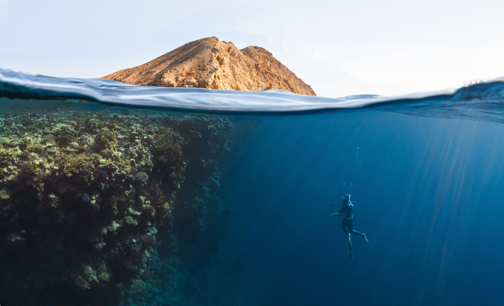 a scuba diver exploring a reef